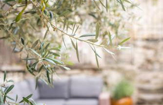 La Maison de La Tour Pinte - Photo 22