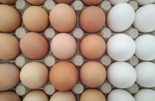 Agriturismo Campolungo - Foto 45