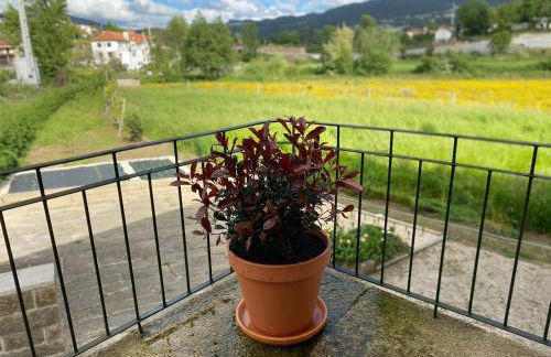 Quinta do Arieiro - Foto 2