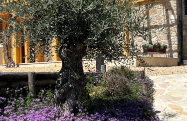 Agriturismo Colpo di Fortuna - Foto 7