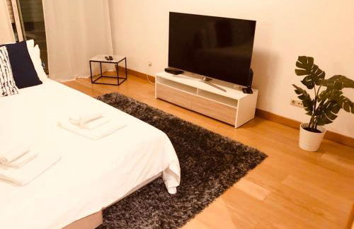 Central Orient Residence - Modern, spacious and sunny! By the river! - Photo 42