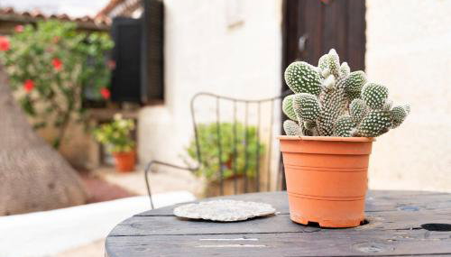 Casa El Drago - Foto 2