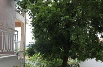 Angela House - Photo 18