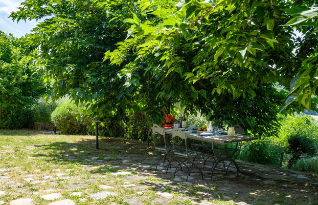 Cafaggio di Sopra - Photo 39