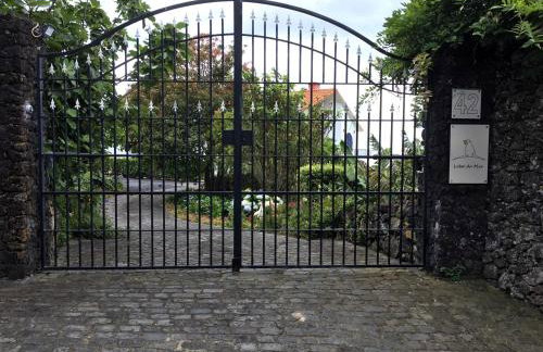 Lobo do Mar - Foto 27