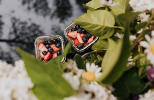 Dziki Las - domki na drzewach - Foto 31