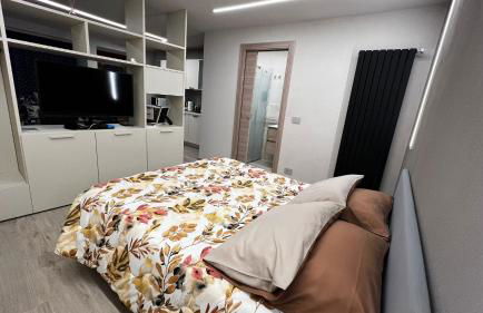 Le Petit Mont Blanc - Photo 29