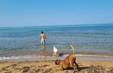 Casa Tio Pepe - Foto 30