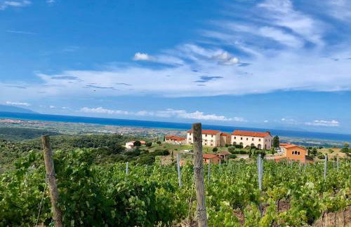 Agriturismo Tenuta Pakravan Papi - Foto 13