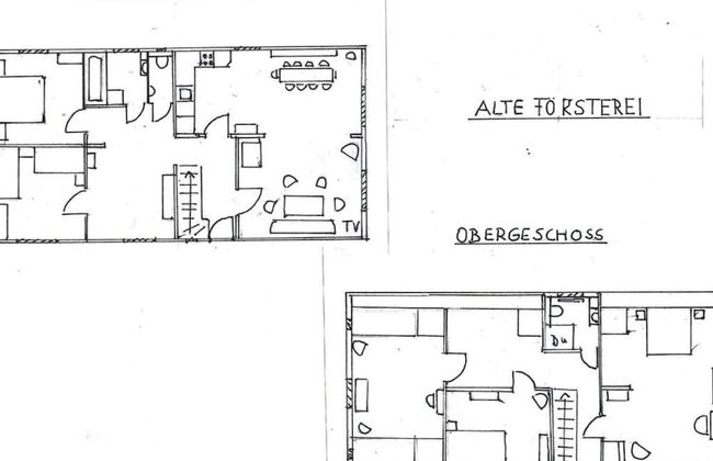 Old Zerwelin Forestry Company - Foto 8