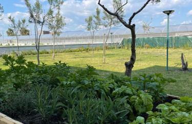 Casa Vacanze Paradise - Photo 25