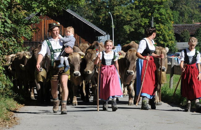 Alpgluck Chalet Modern Retreat - Foto 15