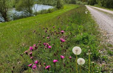 Ferienwohnung Schreiner-Viehhausen - Foto 7