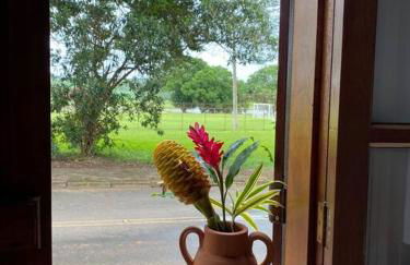 #casinhadasbananeiras - Foto 15