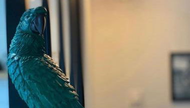 Jungle garage privé netflix - Foto 4