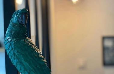 Jungle garage privé netflix - Foto 4