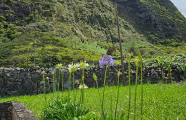 Brisa do Mar - Foto 19