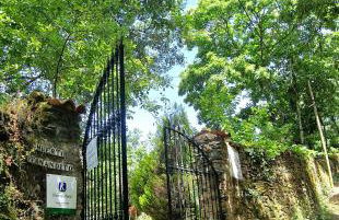 Huerto Fernandito - Foto 25