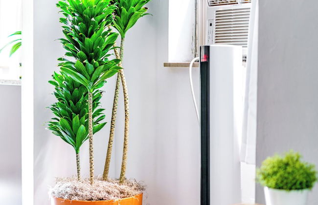 Jungle Casa Uno - Foto 21