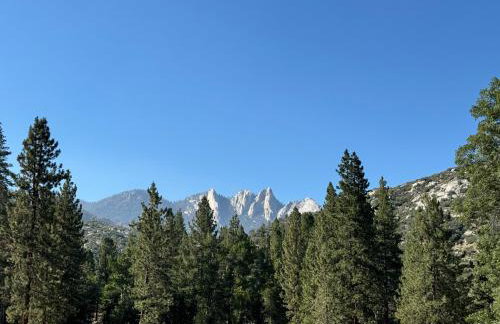 Peppermint Falls Ranch - Foto 37