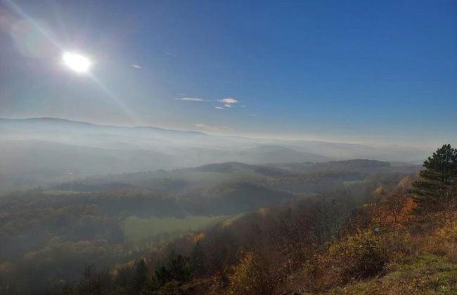 Ideal Holiday Home in Wutha-Farnroda near City Center - Foto 22