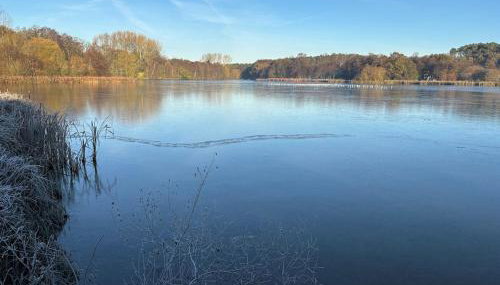 Four Seasons Lodge - Photo 4