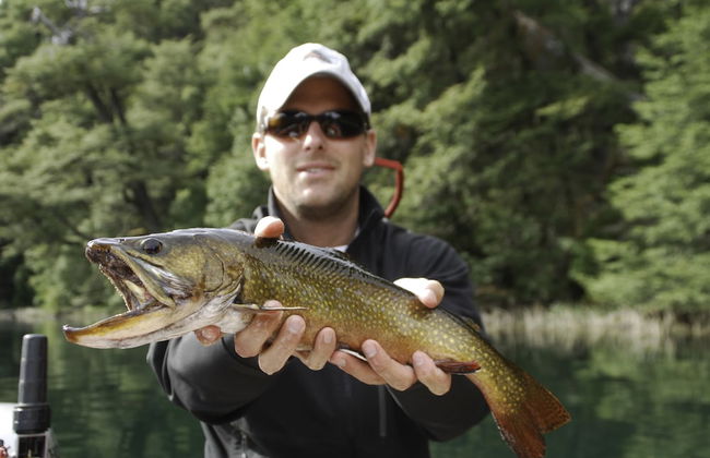 Cabañas Villa Pañil - Foto 46