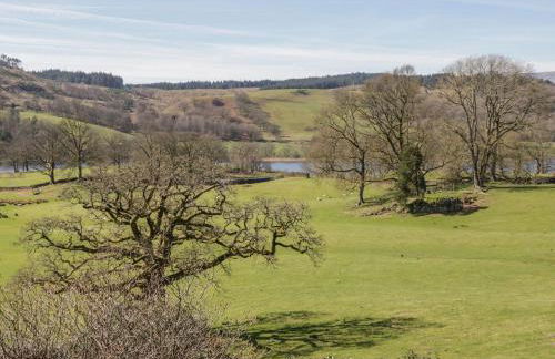 Ees Wyke Studio - Foto 23