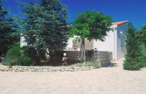 Lavender House - Photo 2