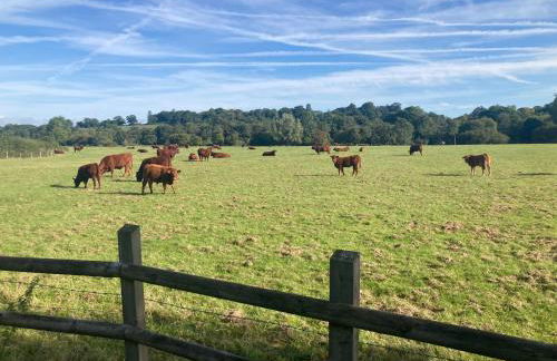 Littlewood Cabin - Foto 3