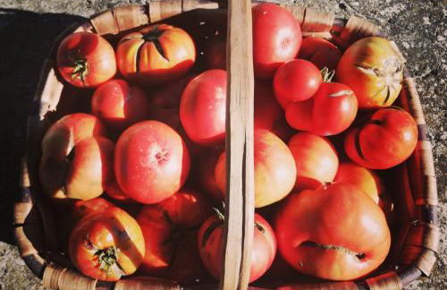 Casa Luka Etxea - Foto 46