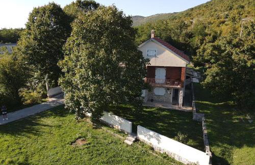 Lika Bearadise - Foto 3