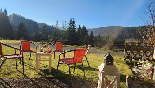 Alte Schmiede 2 Fewos - Foto 5