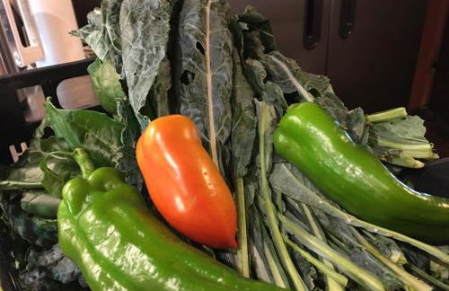 Podere Terreno alla Via della Volpaia - Foto 109