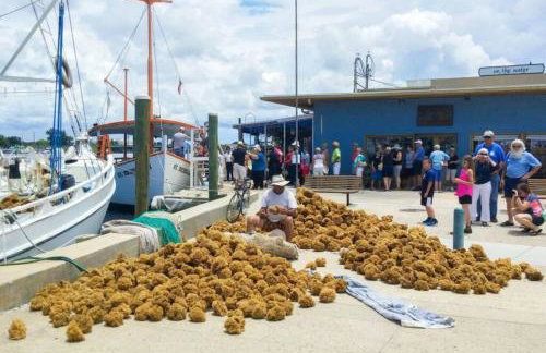 Spacious 3BR Family Home Near Sponge Docks - Foto 49