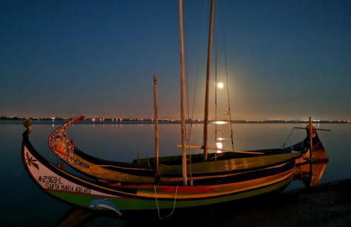 Casa Praia e Ria - Foto 53