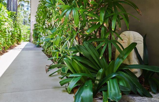 Julians Apartments - Photo 55