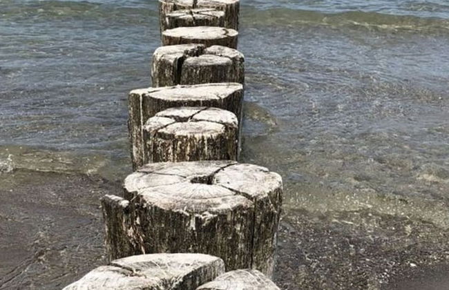 Holiday Home Windfluchter - Foto 28