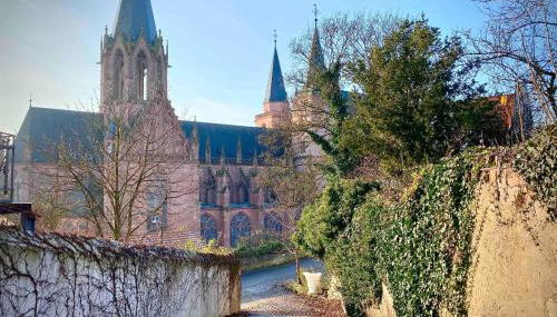 Schönster Blick auf Oppenheim! - Foto 3