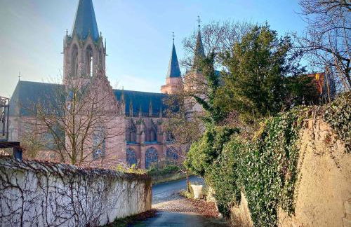 Schönster Blick auf Oppenheim! - Foto 3