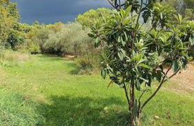 Le Bastidon, Aix en Pce proche centre, climatisé, 4 chambres - Foto 29