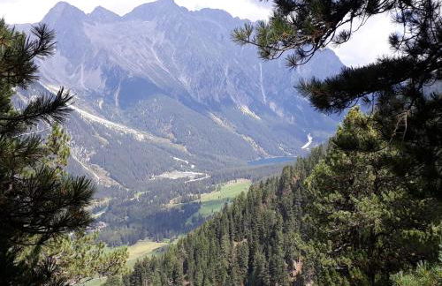 Unterreinischhof - Foto 46