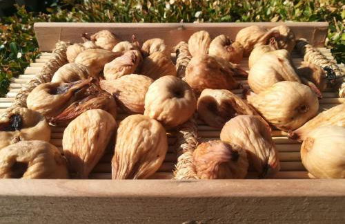 Casa Vacanze Malvarosa - Foto 50