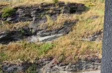 Tony gîte chelou - Foto 19