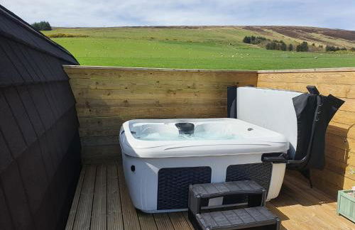 Lilly's Lodges Orkney Robin Lodge - Photo 29