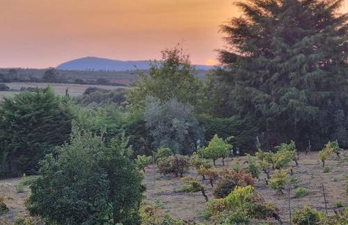 Fantástica Casa de Campo com Piscina perto de Lisboa - Foto 38