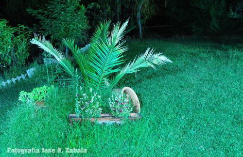 Casa Rural Los Parrales - Foto 70