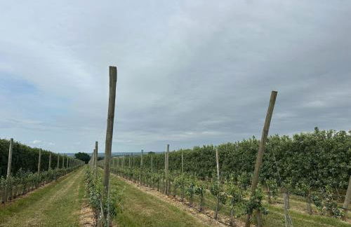 Lovely Holiday Home in Loire for 10 - Photo 20