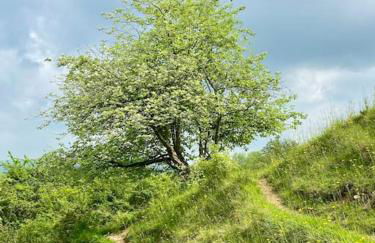 The Snug in Cheltenham, Leckhampton - A Cosy & Unique Space - Photo 23