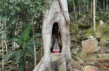 Casas de Vidro - Hospedar com Propósito - Foto 64